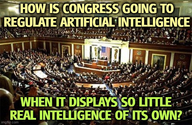 You can't say the words "MAGA" and "intelligence" in the same sentence. | HOW IS CONGRESS GOING TO REGULATE ARTIFICIAL INTELLIGENCE; WHEN IT DISPLAYS SO LITTLE REAL INTELLIGENCE OF ITS OWN? | image tagged in congress,artificial intelligence,maga,dumb and dumber | made w/ Imgflip meme maker