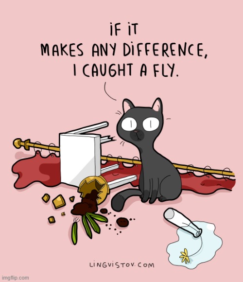 A Cat's Way Of Thinking | image tagged in memes,comics/cartoons,cats,messy,caught,fly | made w/ Imgflip meme maker