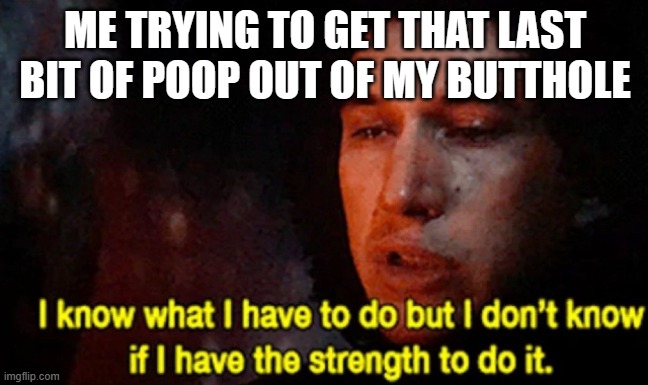 I know what I have to do but I don’t know if I have the strength | ME TRYING TO GET THAT LAST BIT OF POOP OUT OF MY BUTTHOLE | image tagged in i know what i have to do but i don t know if i have the strength,relatable,relatable memes,butthole,poop | made w/ Imgflip meme maker