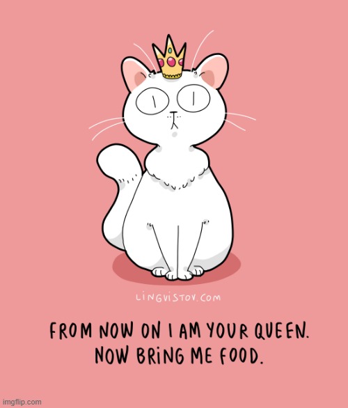 A Cat's Way Of Thinking | image tagged in memes,comics,cats,queen,bring it,food | made w/ Imgflip meme maker