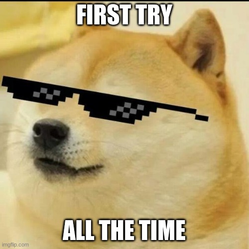 FIRST TRY ALL THE TIME | image tagged in sunglass doge | made w/ Imgflip meme maker
