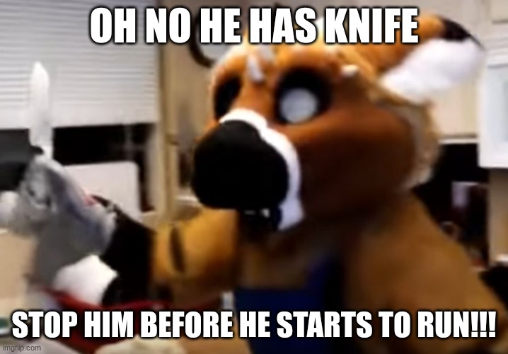 Furry with a knife | OH NO HE HAS KNIFE; STOP HIM BEFORE HE STARTS TO RUN!!! | image tagged in furry with a knife | made w/ Imgflip meme maker