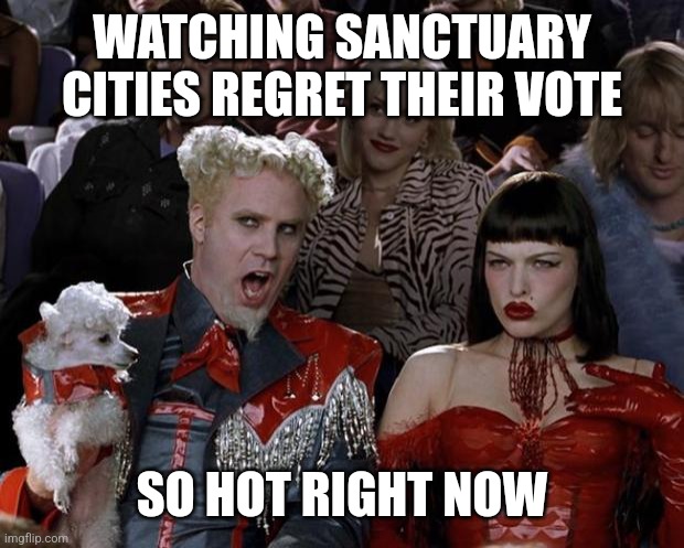 Mugatu So Hot Right Now Meme | WATCHING SANCTUARY CITIES REGRET THEIR VOTE; SO HOT RIGHT NOW | image tagged in memes,mugatu so hot right now | made w/ Imgflip meme maker