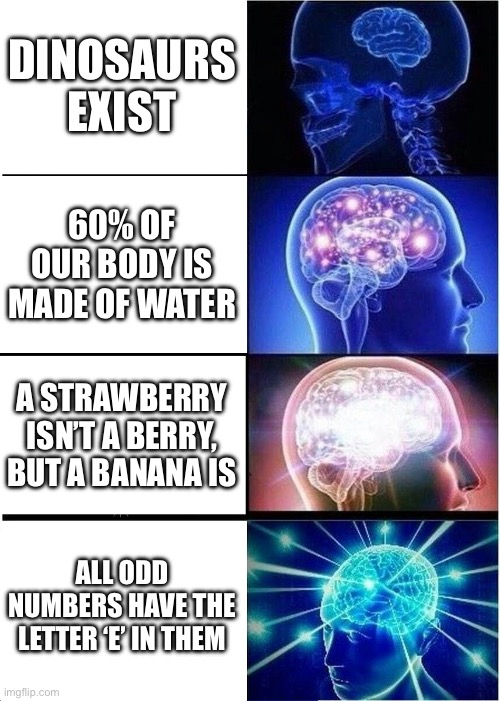 Your brain when it hears these facts | DINOSAURS EXIST; 60% OF OUR BODY IS MADE OF WATER; A STRAWBERRY ISN’T A BERRY, BUT A BANANA IS; ALL ODD NUMBERS HAVE THE LETTER ‘E’ IN THEM | image tagged in memes,expanding brain | made w/ Imgflip meme maker