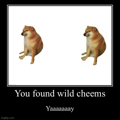 You found wild cheems | Yaaaaaaay | image tagged in funny,demotivationals | made w/ Imgflip demotivational maker