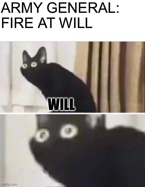 Oh no | ARMY GENERAL: FIRE AT WILL; WILL | image tagged in oh no black cat,meme | made w/ Imgflip meme maker