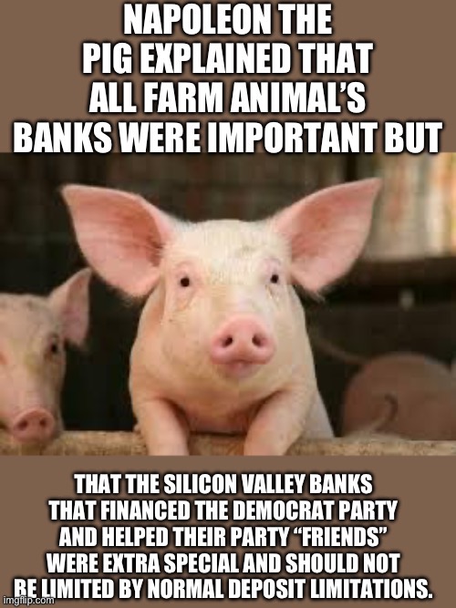 Do not all the farm animals were equal after all | image tagged in progressive | made w/ Imgflip meme maker