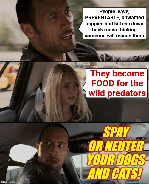 Spay And / Or Neuter Your Dogs And Cats! | People leave, PREVENTABLE, unwanted puppies and kittens down back roads thinking someone will rescue them; They become FOOD for the wild predators; SPAY OR NEUTER YOUR DOGS AND CATS! | image tagged in memes,the rock driving,spay and neuter,animal control,puppies and kittens,dead puppies | made w/ Imgflip meme maker