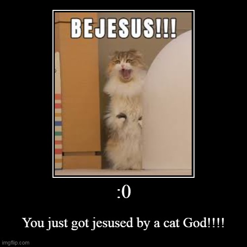 :0 | You just got jesused by a cat God!!!! | image tagged in funny,demotivationals | made w/ Imgflip demotivational maker
