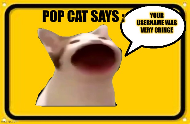 Blank Yellow Sign Meme | YOUR USERNAME WAS VERY CRINGE POP CAT SAYS : | image tagged in memes,blank yellow sign | made w/ Imgflip meme maker