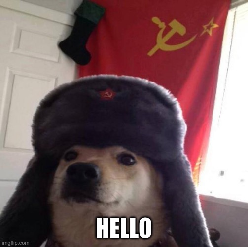 Russian Doge | HELLO | image tagged in russian doge | made w/ Imgflip meme maker