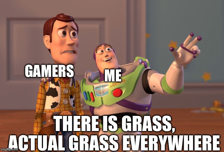 Gamers: Wowwwwwwww grass | GAMERS; ME; THERE IS GRASS, ACTUAL GRASS EVERYWHERE | image tagged in memes,x x everywhere | made w/ Imgflip meme maker