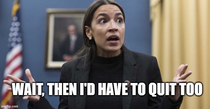 AOC confused | WAIT, THEN I'D HAVE TO QUIT TOO | image tagged in aoc confused | made w/ Imgflip meme maker