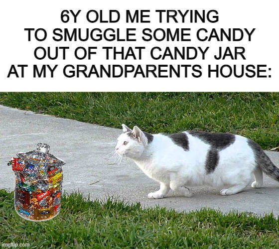 I did this so often XD | 6Y OLD ME TRYING TO SMUGGLE SOME CANDY OUT OF THAT CANDY JAR AT MY GRANDPARENTS HOUSE: | image tagged in blank white template | made w/ Imgflip meme maker