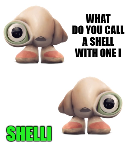 a shell with one i | WHAT DO YOU CALL A SHELL WITH ONE I; SHELLI | image tagged in kewlew,joke | made w/ Imgflip meme maker