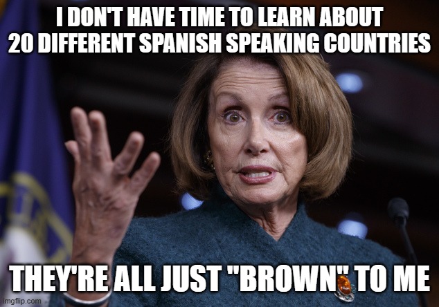 Good old Nancy Pelosi | I DON'T HAVE TIME TO LEARN ABOUT 20 DIFFERENT SPANISH SPEAKING COUNTRIES THEY'RE ALL JUST "BROWN" TO ME | image tagged in good old nancy pelosi | made w/ Imgflip meme maker