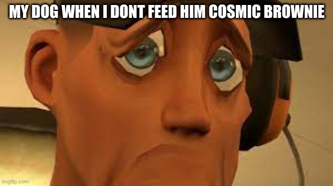 this is something that really happend | MY DOG WHEN I DONT FEED HIM COSMIC BROWNIE | image tagged in tf2 | made w/ Imgflip meme maker