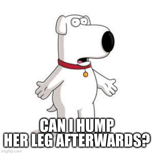 Family Guy Brian Meme | CAN I HUMP HER LEG AFTERWARDS? | image tagged in memes,family guy brian | made w/ Imgflip meme maker