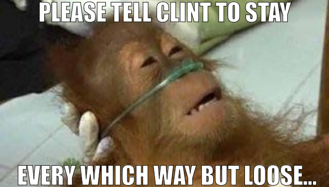 I GONNA MISS YOU BRO | PLEASE TELL CLINT TO STAY; EVERY WHICH WAY BUT LOOSE... | image tagged in sick orangutan,memes | made w/ Imgflip meme maker