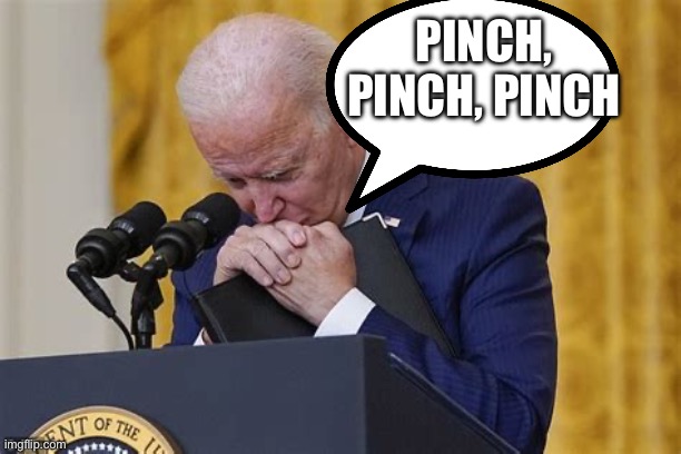 In control? | PINCH, PINCH, PINCH | image tagged in crying,biden,democrats,incompetence | made w/ Imgflip meme maker
