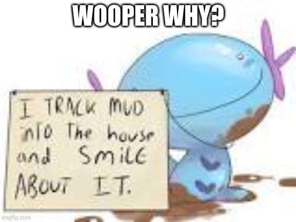Wooper tracks mud in the house | WOOPER WHY? | image tagged in hehehe | made w/ Imgflip meme maker