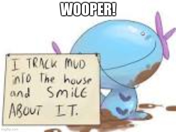 hehehe | WOOPER! | image tagged in hehehe | made w/ Imgflip meme maker