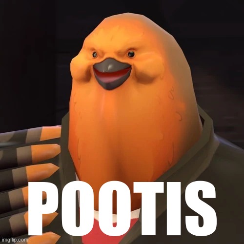 pootis | POOTIS | image tagged in pootis | made w/ Imgflip meme maker