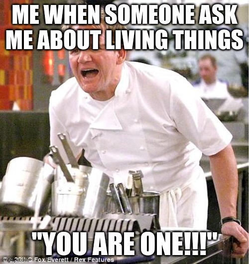 Chef Gordon Ramsay | ME WHEN SOMEONE ASK ME ABOUT LIVING THINGS; "YOU ARE ONE!!!" | image tagged in memes,chef gordon ramsay | made w/ Imgflip meme maker