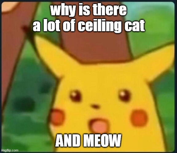 Surprised Pikachu | why is there a lot of ceiling cat AND MEOW | image tagged in surprised pikachu | made w/ Imgflip meme maker