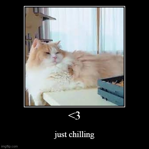 sleep | <3 | just chilling | image tagged in funny,demotivationals | made w/ Imgflip demotivational maker