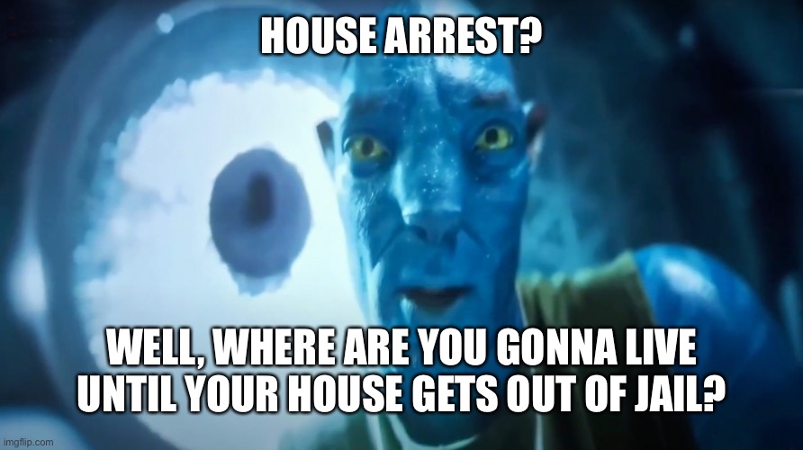 Staring Avatar Guy | HOUSE ARREST? WELL, WHERE ARE YOU GONNA LIVE UNTIL YOUR HOUSE GETS OUT OF JAIL? | image tagged in staring avatar guy,memes,funny,funny memes,avatar,arrested | made w/ Imgflip meme maker