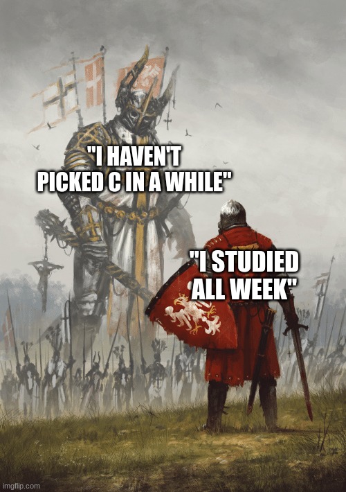 I'll see you all in summer school | "I HAVEN'T PICKED C IN A WHILE"; "I STUDIED ALL WEEK" | image tagged in giant knight,finals,finals week,funny,memes,funny memes | made w/ Imgflip meme maker