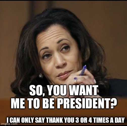 Kamala Harris  | I CAN ONLY SAY THANK YOU 3 OR 4 TIMES A DAY SO, YOU WANT ME TO BE PRESIDENT? | image tagged in kamala harris | made w/ Imgflip meme maker