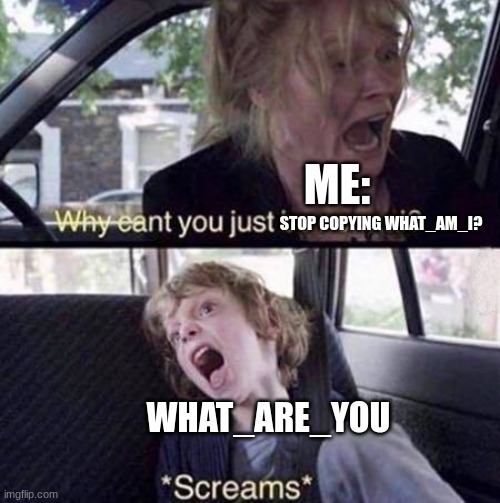 "I'm tHe aLt of WhO_aM_I" 'Stop.' | ME:; STOP COPYING WHAT_AM_I? WHAT_ARE_YOU | image tagged in why can't you just be normal | made w/ Imgflip meme maker