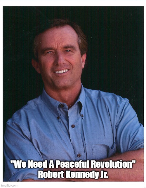 Robert Kennedy Jr. Calls For A Revolution | "We Need A Peaceful Revolution"
Robert Kennedy Jr. | image tagged in robert kennedy jr,robert kennedy is a declared presidential candidate for 2024 | made w/ Imgflip meme maker