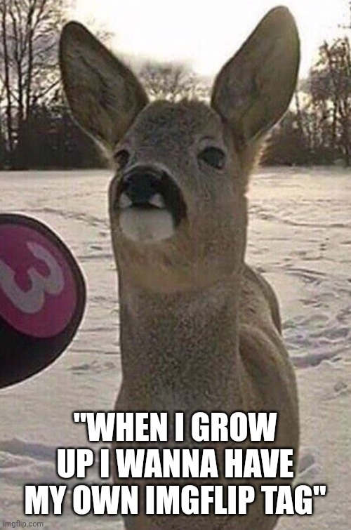 When I grow up | "WHEN I GROW UP I WANNA HAVE MY OWN IMGFLIP TAG" | image tagged in deer interview,if you read this tag you are cursed | made w/ Imgflip meme maker
