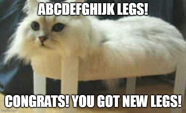 ABCDEFGHIJK LEGS! | ABCDEFGHIJK LEGS! CONGRATS! YOU GOT NEW LEGS! | image tagged in cats,legs,only in ohio | made w/ Imgflip meme maker