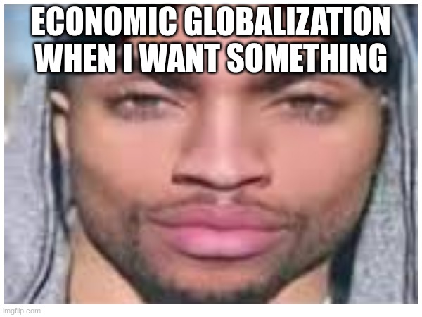 i | ECONOMIC GLOBALIZATION WHEN I WANT SOMETHING | image tagged in memes | made w/ Imgflip meme maker