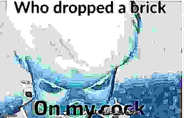 Who dropped a brick | image tagged in who dropped a brick | made w/ Imgflip meme maker