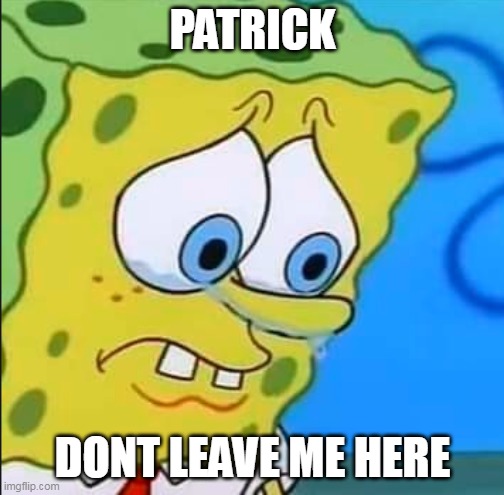dont leave me here :( | PATRICK; DONT LEAVE ME HERE | image tagged in why you left me | made w/ Imgflip meme maker
