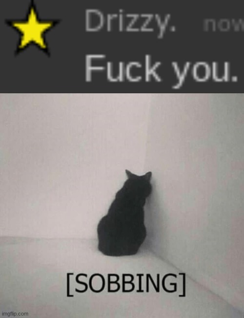 image tagged in sobbing cat | made w/ Imgflip meme maker