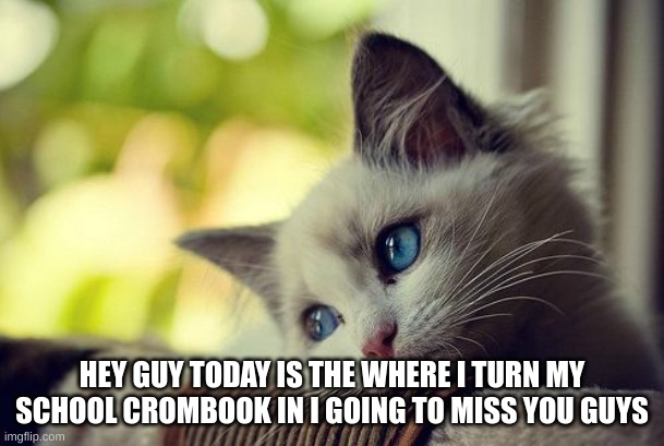 yep ;( | HEY GUY TODAY IS THE WHERE I TURN MY SCHOOL CHROMEBOOK IN I GOING TO MISS YOU GUYS | image tagged in memes,first world problems cat | made w/ Imgflip meme maker