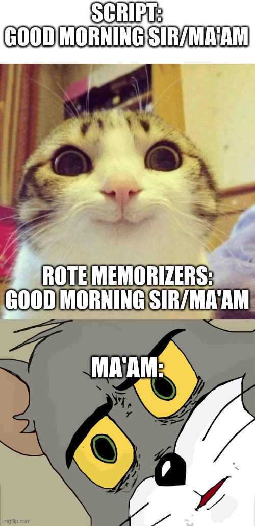 Rote Memorisers | SCRIPT:
GOOD MORNING SIR/MA'AM; ROTE MEMORIZERS:
GOOD MORNING SIR/MA'AM; MA'AM: | image tagged in memes,smiling cat,unsettled tom | made w/ Imgflip meme maker