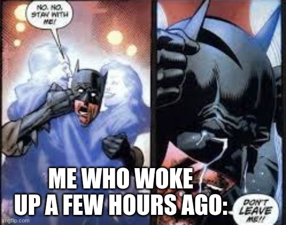 No no stay with me | ME WHO WOKE UP A FEW HOURS AGO: | image tagged in no no stay with me | made w/ Imgflip meme maker