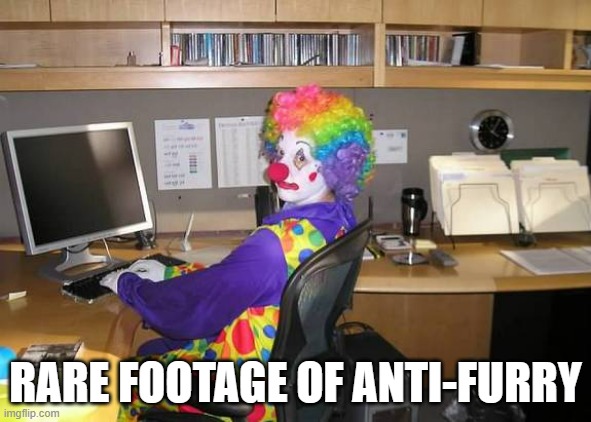 clown computer | RARE FOOTAGE OF ANTI-FURRY | image tagged in clown computer | made w/ Imgflip meme maker