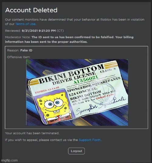 falsified roblox id meme | image tagged in falsified roblox id meme | made w/ Imgflip meme maker