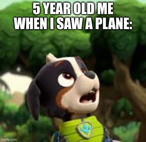 My little bro tried his hand at making a meme, and I think he did well! So I decided to show you guys. (BTW he's a big fan of PA | 5 YEAR OLD ME WHEN I SAW A PLANE: | image tagged in why should you read this,why are you reading this,these aren't important,stop,stop reading the tags,ok pls stop | made w/ Imgflip meme maker