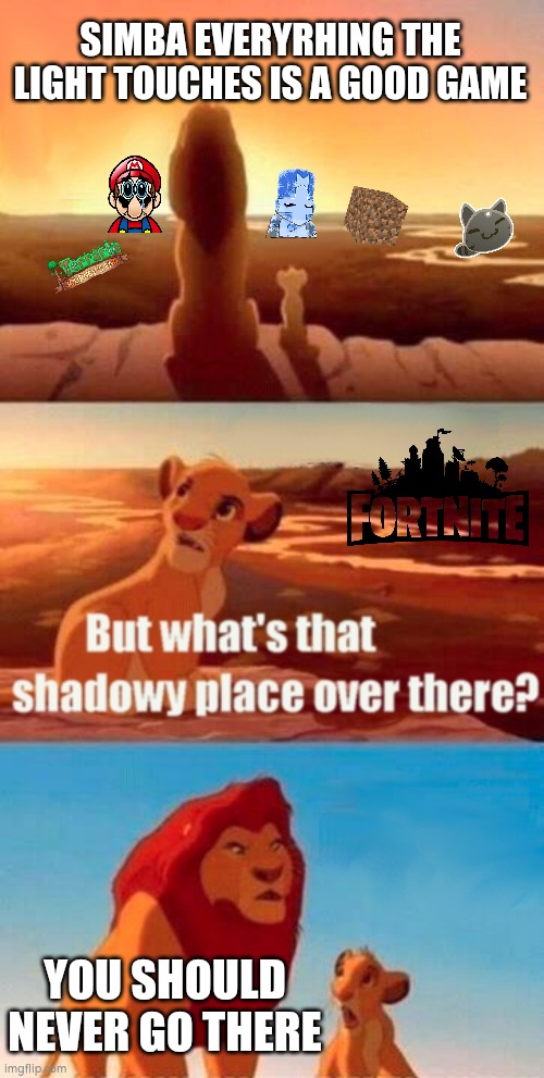 Anything but that | SIMBA EVERYRHING THE LIGHT TOUCHES IS A GOOD GAME; YOU SHOULD NEVER GO THERE | image tagged in memes,simba shadowy place | made w/ Imgflip meme maker