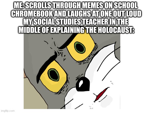 Pain | ME: SCROLLS THROUGH MEMES ON SCHOOL 
CHROMEBOOK AND LAUGHS AT ONE OUT LOUD
MY SOCIAL STUDIES TEACHER IN THE 
MIDDLE OF EXPLAINING THE HOLOCAUST: | image tagged in middle school,memes,hol up,social studies,history | made w/ Imgflip meme maker