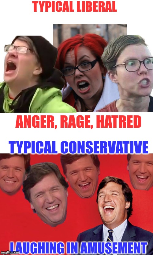The difference between liberal and conservative | TYPICAL LIBERAL; ANGER, RAGE, HATRED; TYPICAL CONSERVATIVE; LAUGHING IN AMUSEMENT | image tagged in tucker laughs at libs,liberals,conservatives,politics,triggered | made w/ Imgflip meme maker